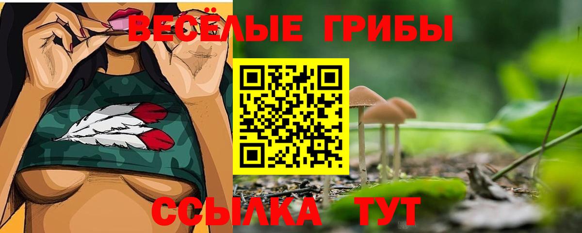 Галлюциногенные грибы Psilocybine cubensis Добрянка